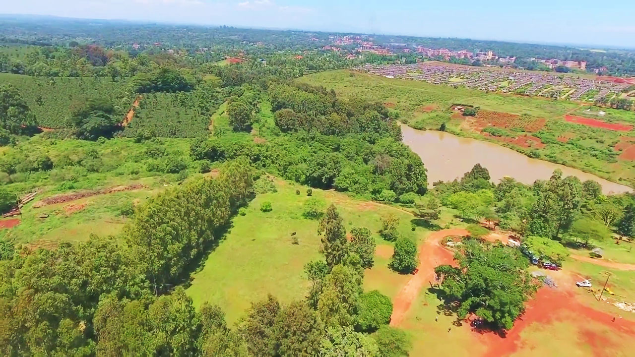 Paradise Lake Mansions Ravine Consortium